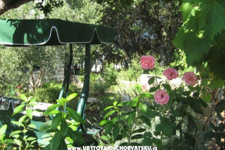 Apartments ISA – photo 7