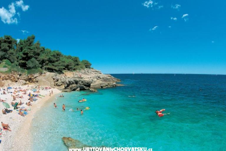 Apartments Ivonna Exsclusive Centar – photo 6