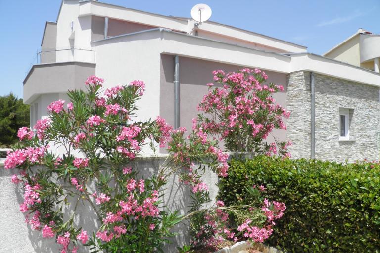 Apartments Mirakul – photo 8