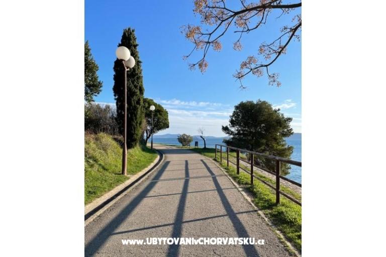 Accommodation Rita – photo 16