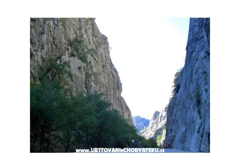 Apartment Robi – photo 9