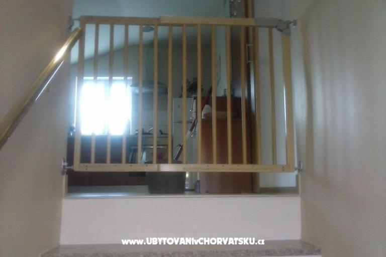 Armanito – photo 12
