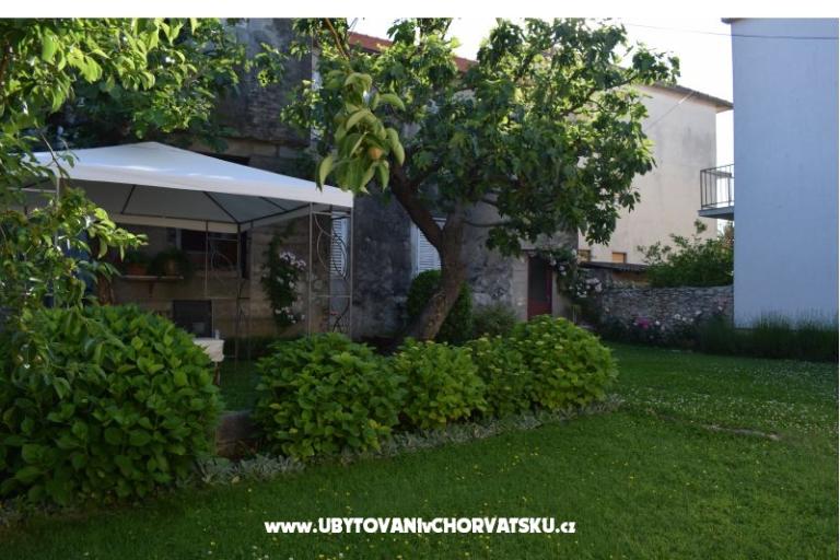 Armanito – photo 15