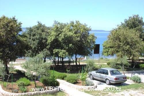 Bungalows Malic – photo 7