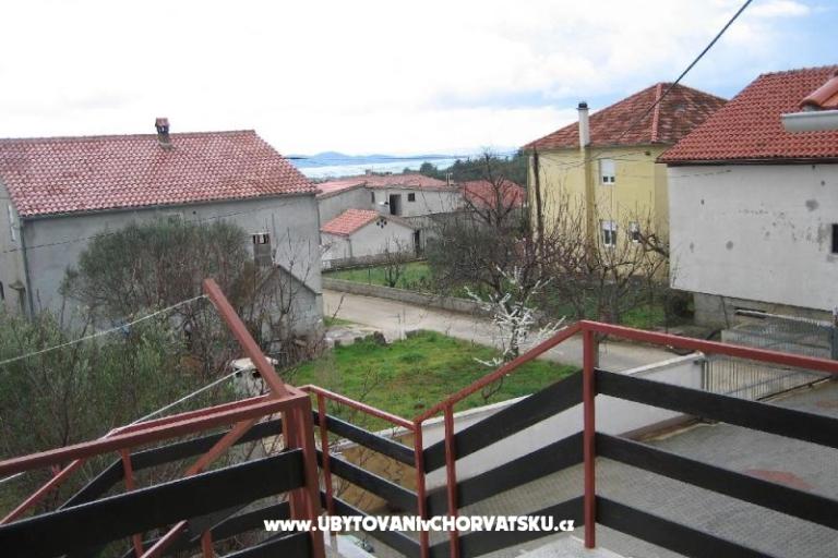 Elvis - Zadar – photo 14