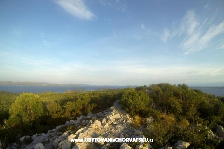Esso Grande – photo 16