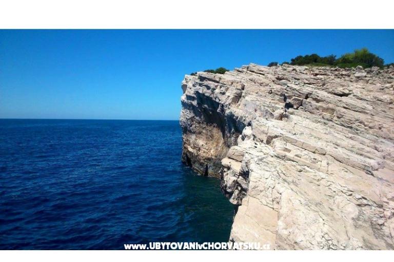 Esso Grande – photo 4
