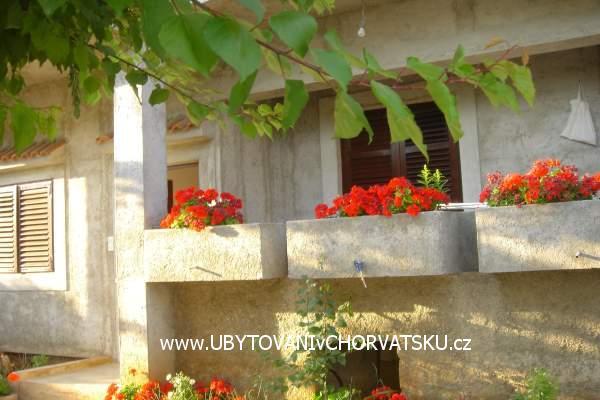Family House Matkovic – photo 4
