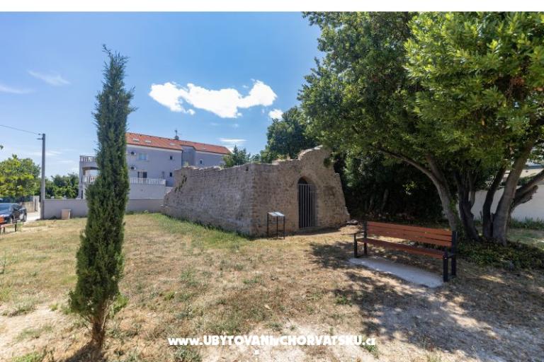 Furia Puntamika – photo 6