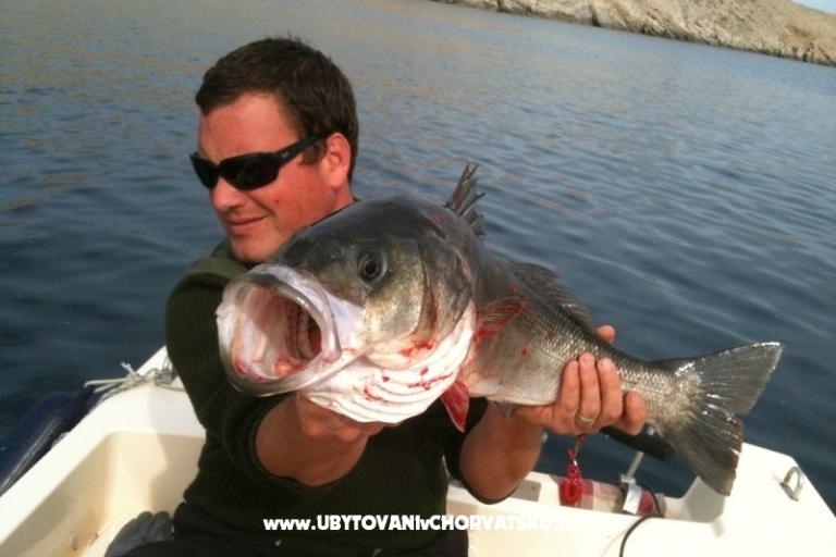 Holiday Rtina – photo 17