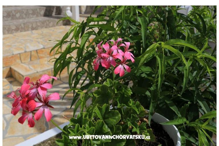 Holiday Rtina – photo 8