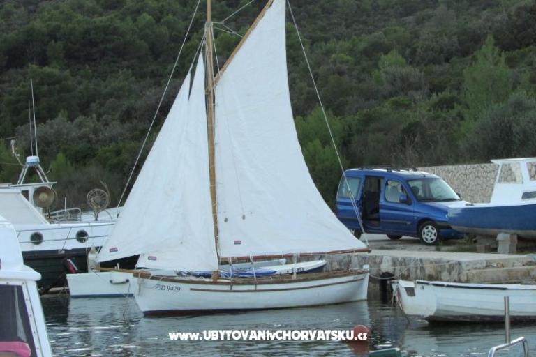 House Branka – photo 15