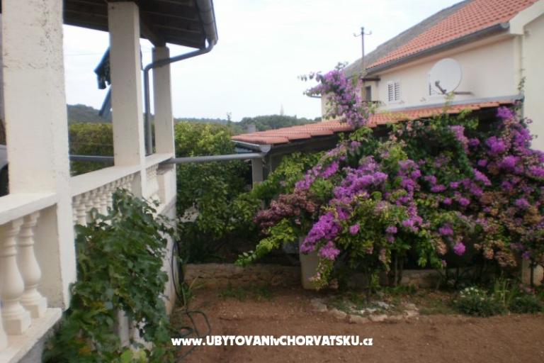 House Branka – photo 16