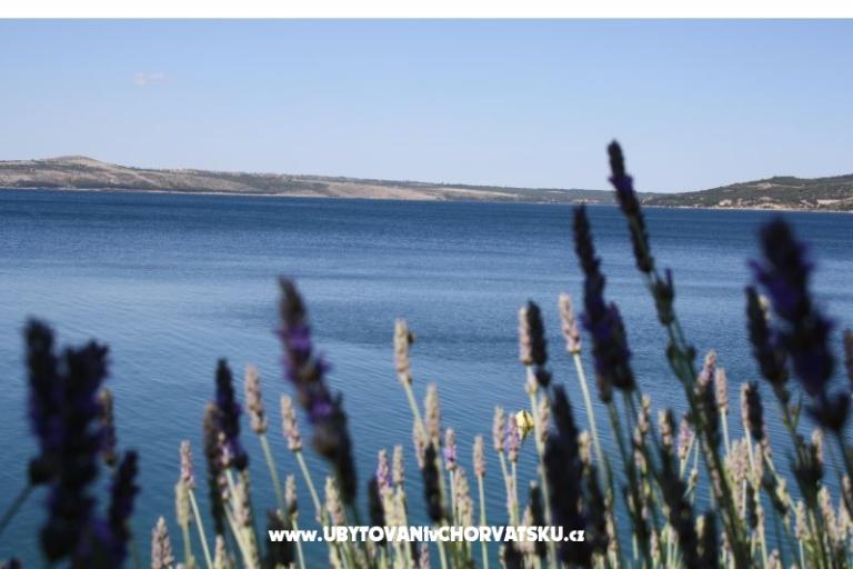 MasVel apartmani – photo 17