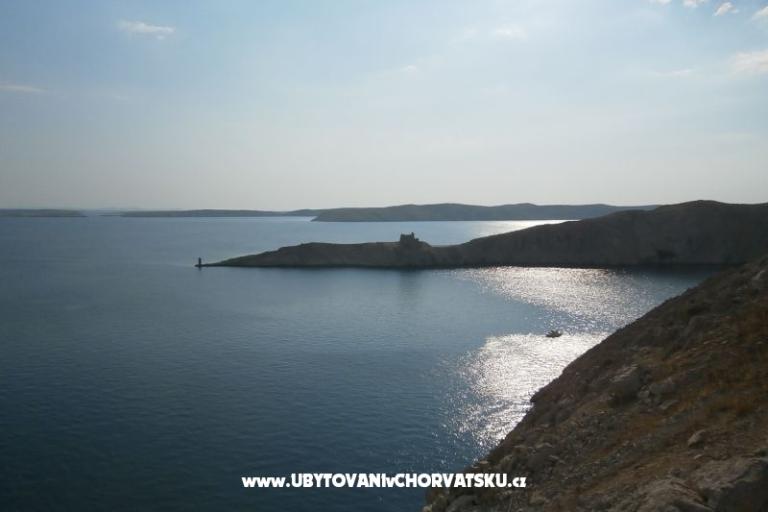 Apartments Ivica- Livi  – photo 15