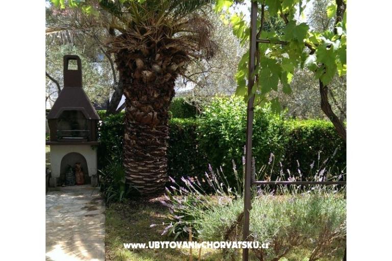 Nevena Apartments – photo 5