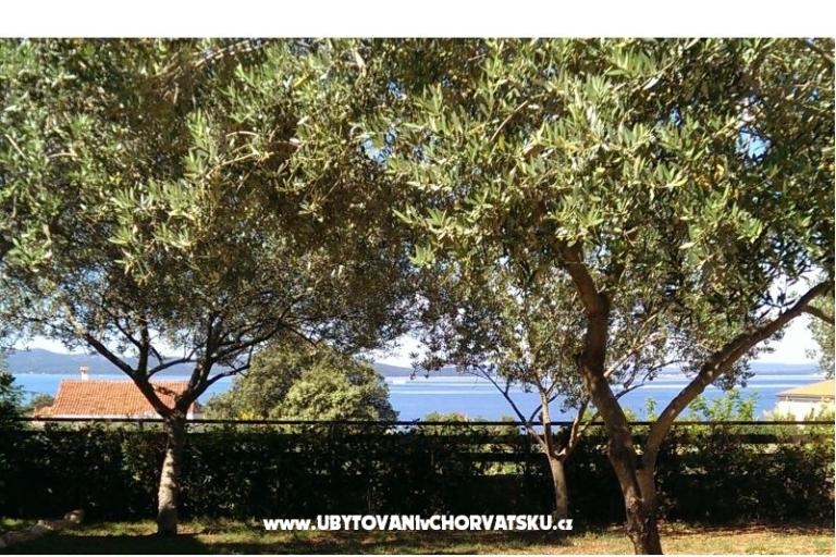 Nevena Apartments – photo 9