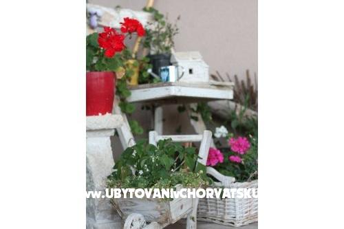 Olive Garden Zadar – photo 12