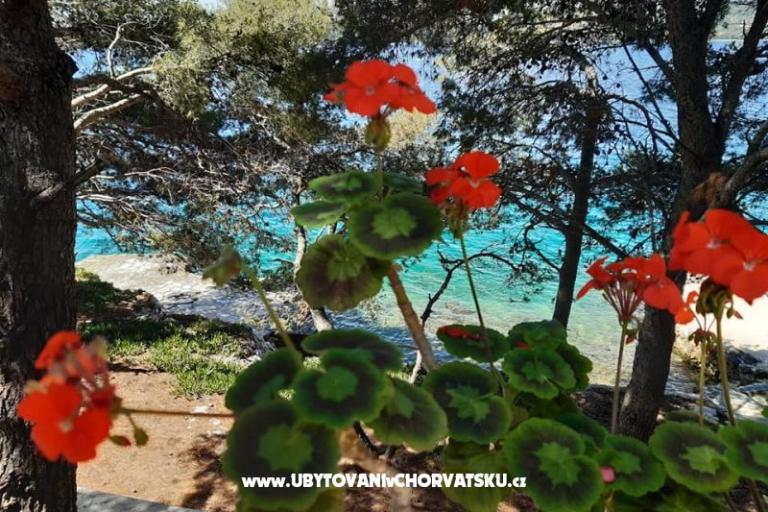 Robinzonski turizam Lavdara Dominis – photo 13