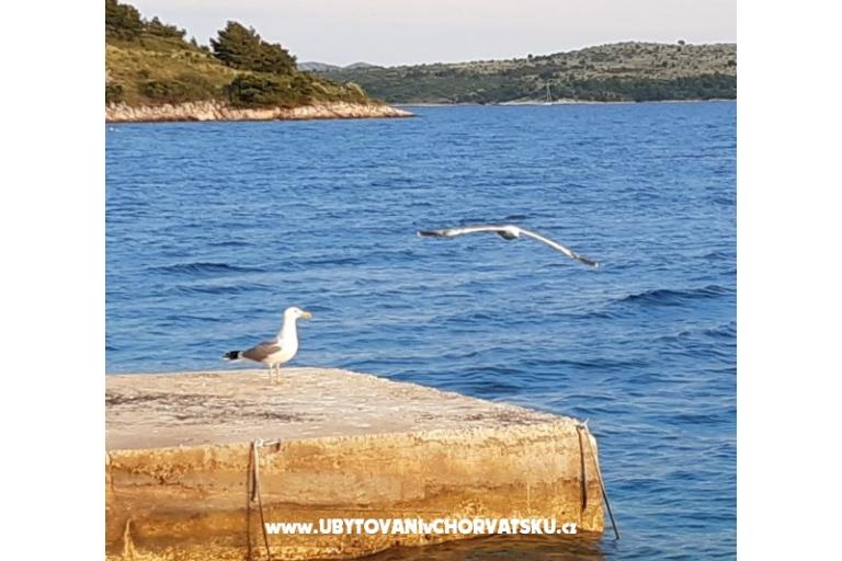 Robinzonski turizam Lavdara Dominis – photo 28