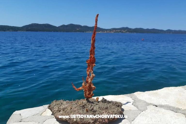 Robinzonski turizam Lavdara Dominis – photo 32