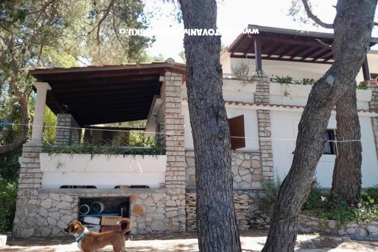 Robinzonski turizam Lavdara Dominis – photo 44