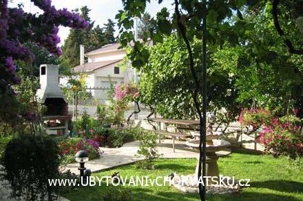 Apartments Biskup – photo 4