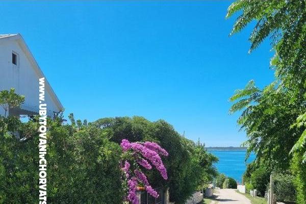 Accommodation Stošić – photo 20