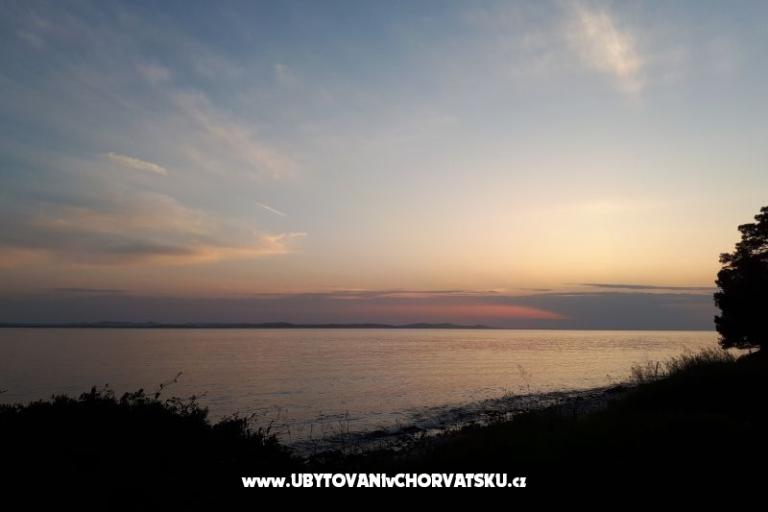 Veronika – photo 7