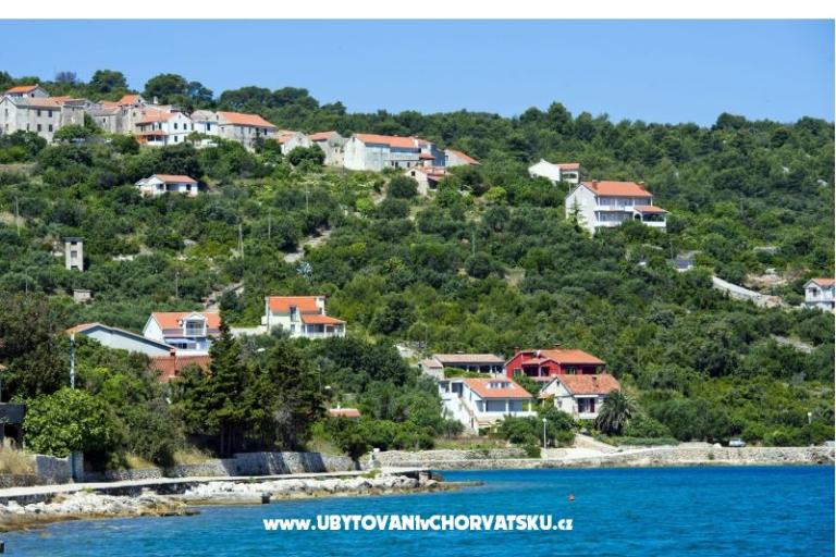 Villa Lily – photo 15