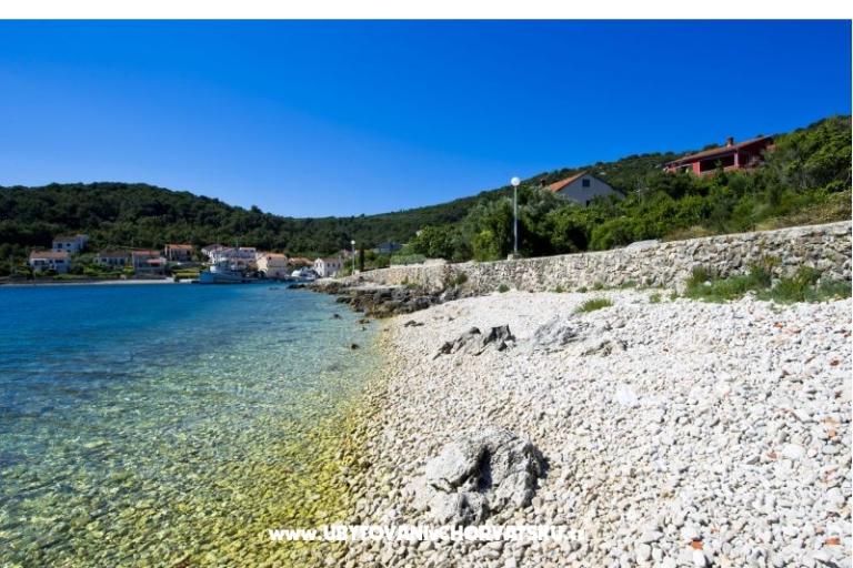 Villa Lily – photo 9