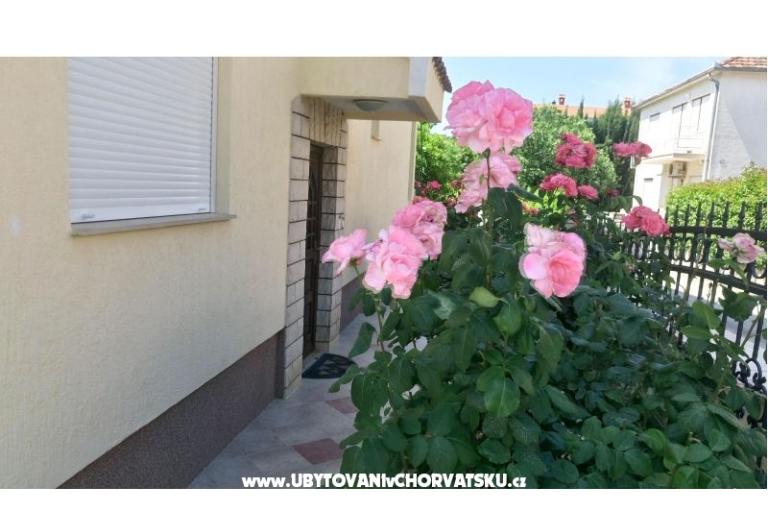 Villa Rosemarino – photo 5