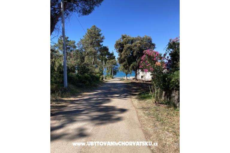 Villa Teresa – photo 10