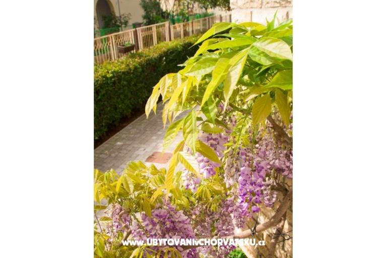 Villa Tereza – photo 11