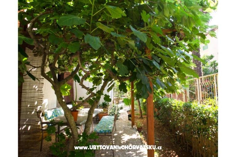 Villa Tereza – photo 18