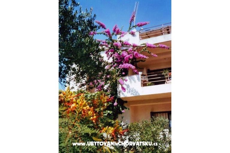 Villa Tereza – photo 2