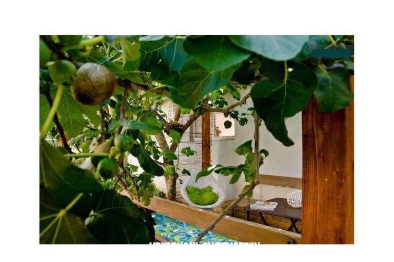 Villa Tereza – photo 8