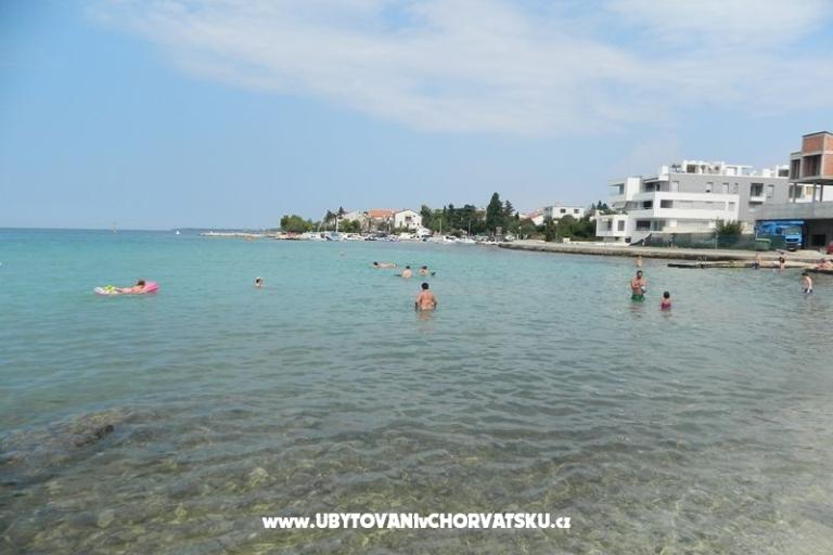 Vulić – photo 17