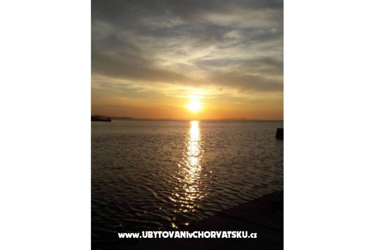 Vulić – photo 18