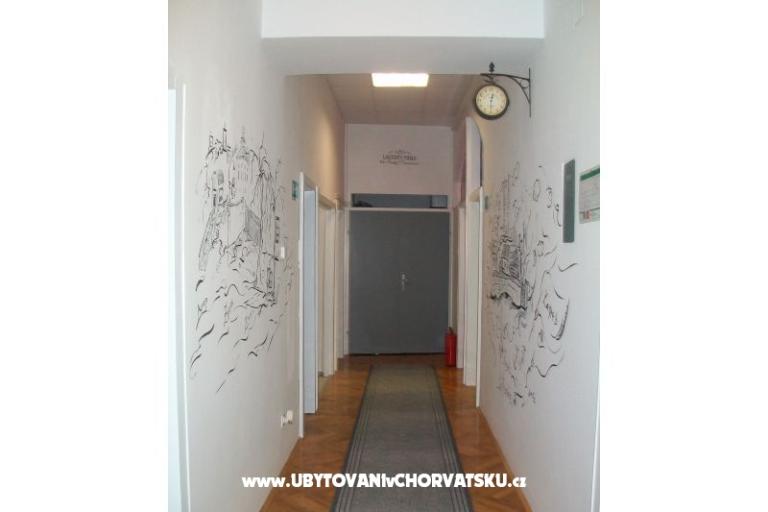 Chameleon hostel – photo 15