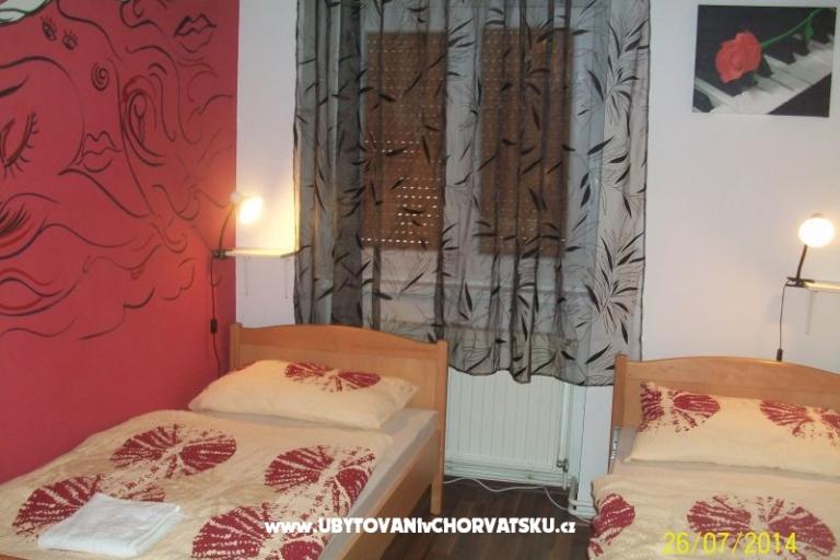 Chameleon hostel – photo 4