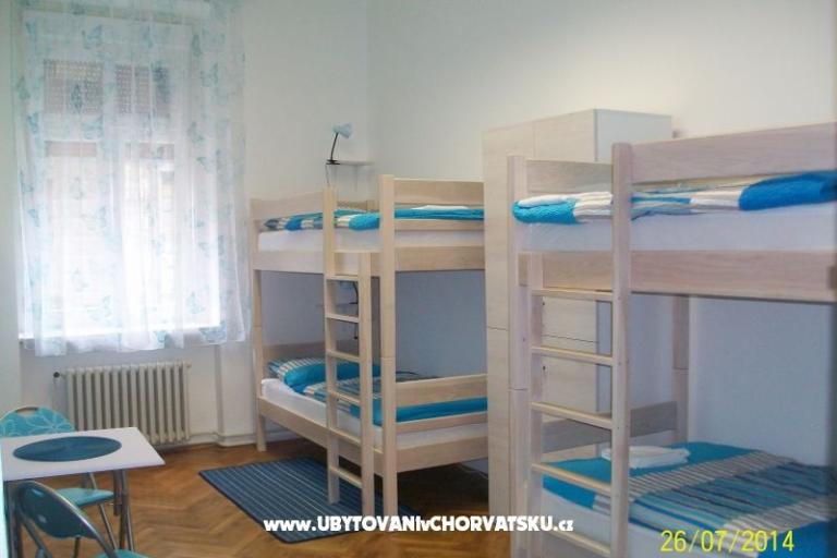 Chameleon hostel – photo 9