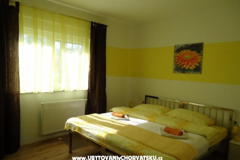 S.A.Z. – photo 6