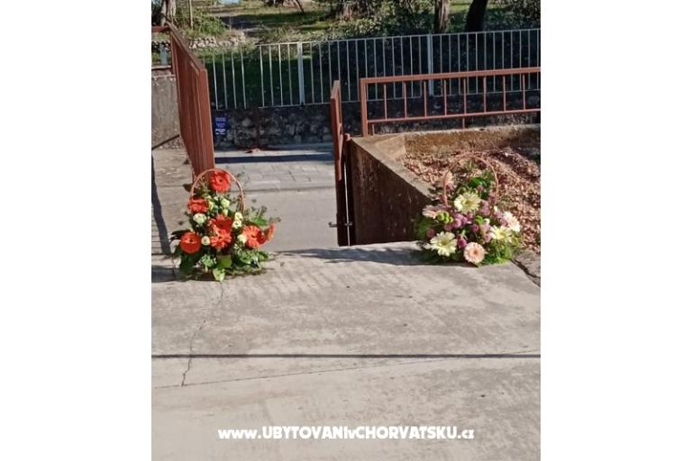 Apartment Viter – photo 2