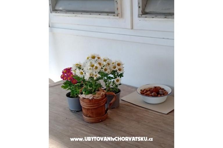 Apartment Viter – photo 5