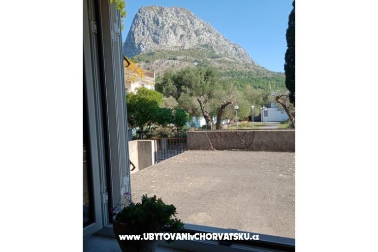 Apartment Viter – photo 7