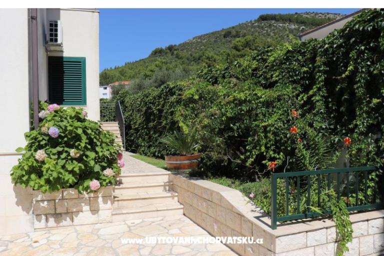 Apartments Anita – photo 2