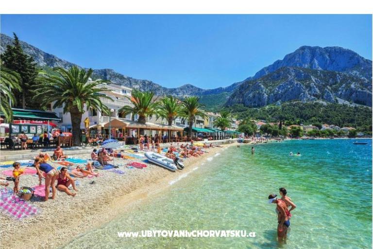 Apartments Kosović III – photo 17