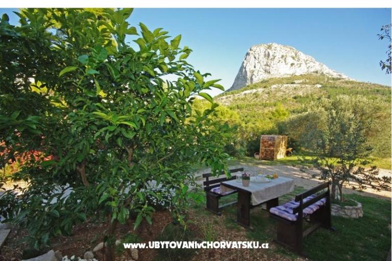 Apartments Marija – photo 6