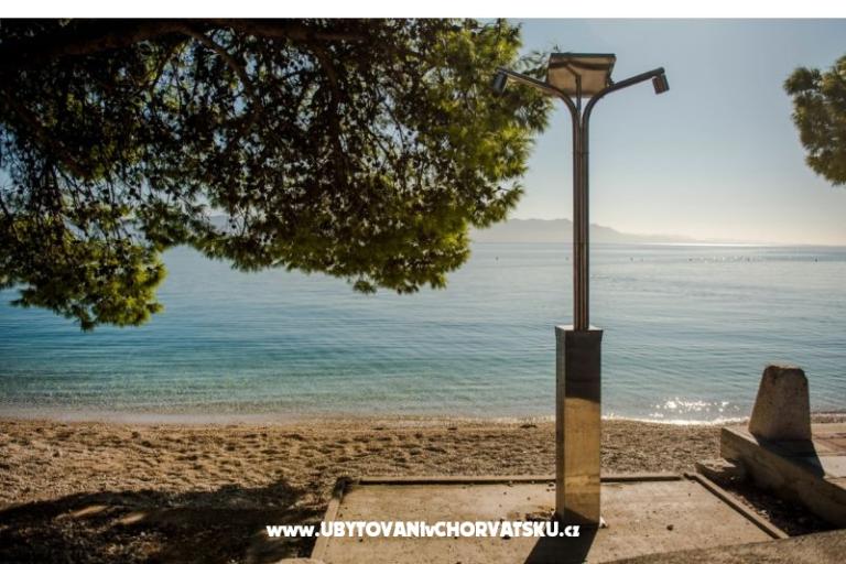 Apartments Martinović – photo 11